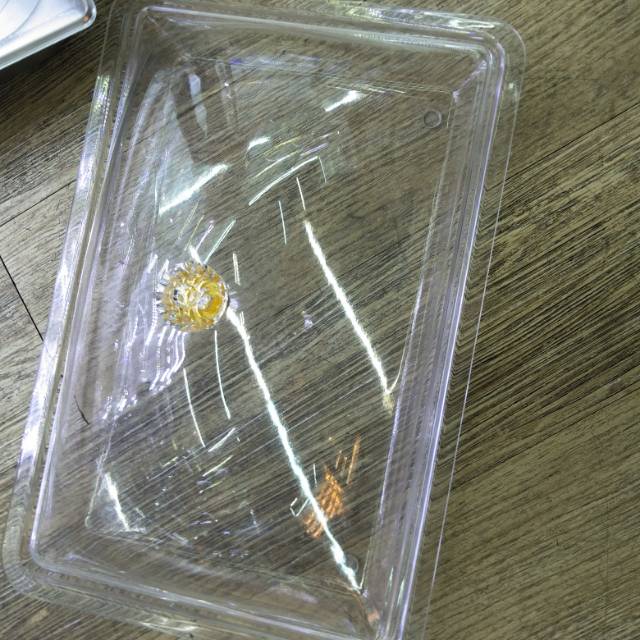 塑料凉菜盘子托盘长方形大号方盘透明菜盘商用展示盘亚克力盘子，有三个尺寸。