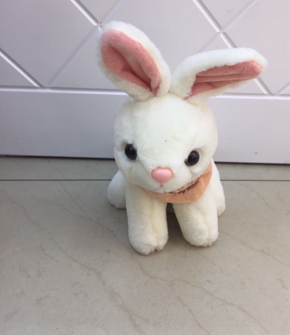 Direct sales of plush toys, small animals, dolls, cartoon dolls, large scarves, rabbit dreamy plush toys, booth 0777 Specification image