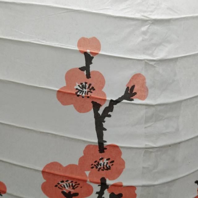 Colorful blank paper plum blossom pattern lanterns, children's hand-painted creative lanterns, Mid-Autumn Festival, Spring Festival, Lantern Festival and New Year hanging lanterns Specification image