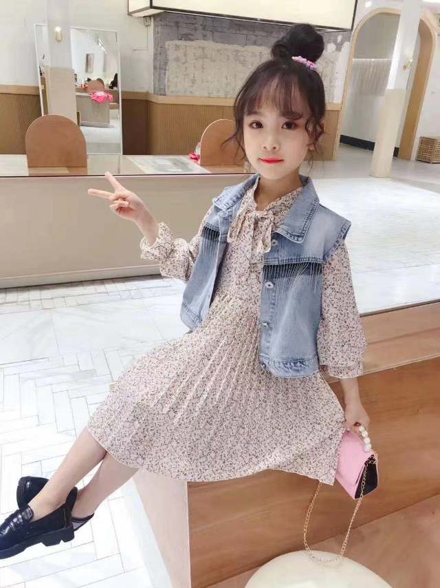 Korean chiffon denim waistcoat embroidered two-piece skirt suit dress thumbnail