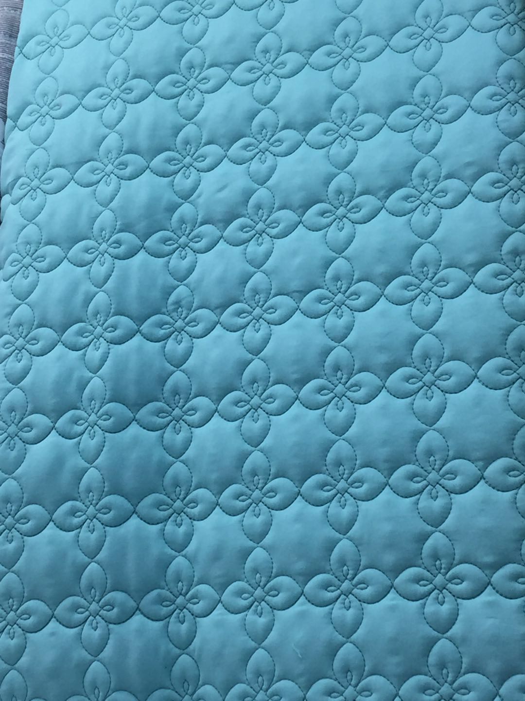 Simple style solid-color embossed spring and summer blanket, quilt core, single person details Picture