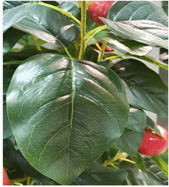 Self-Produced And Self-Marketing Simulation Plant Simulation Leaves Simulation Bamboo Bonsai True Bamboo Pole Bamboo Tip Wholesale Specification drawing