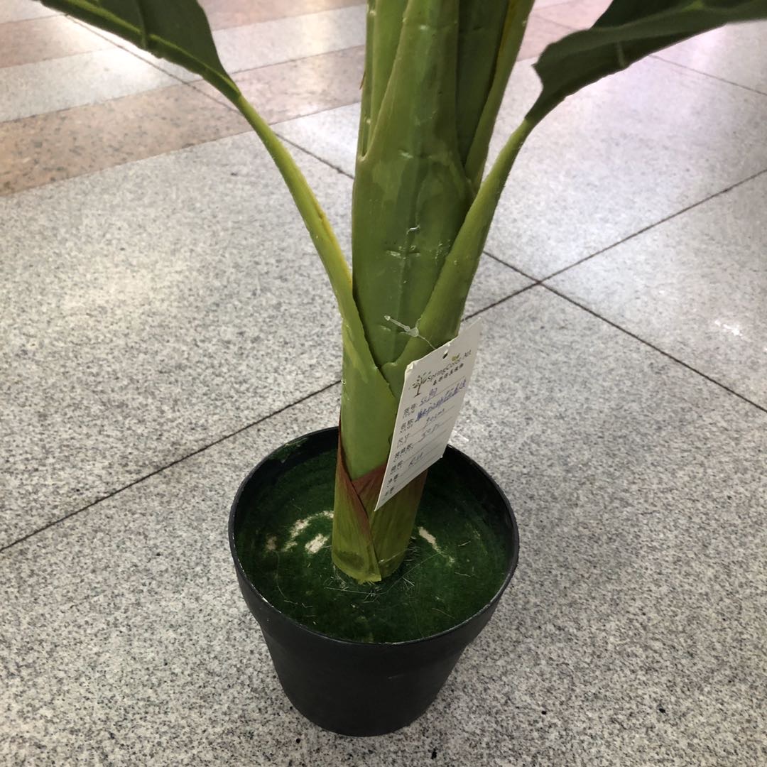 Simulated dragon's blood tree, simple Nordic, modern Southeast Asian green plant potted plants, tropical cycad model house, clothing store, restaurant Specification image