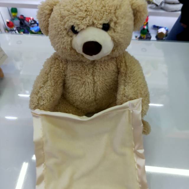 Pet peek-a-boo children's entertainment toy