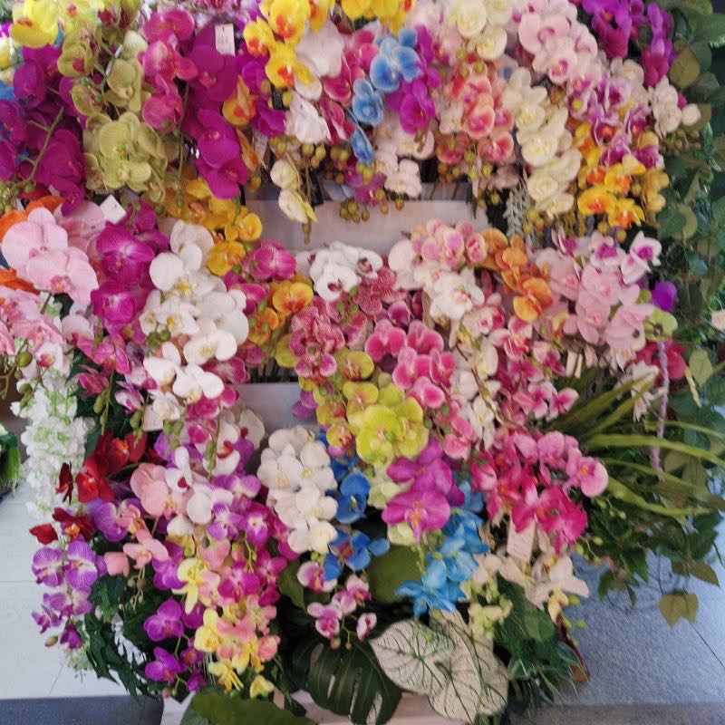 Yingzi Hua Xing describe pic - 3