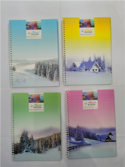 16K double-coil loose-leaf student notebook diary is a fresh and hot seller thumbnail
