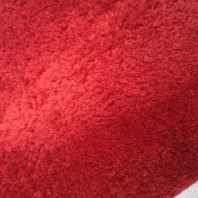 Explosive Red Carpet Floor Mat High-End Carpet Household Artifact Carpet details Picture