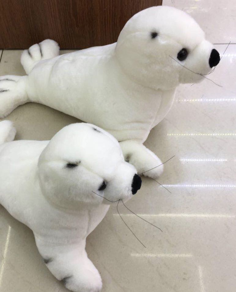 Plush sea lion toys for children, girls and home decorations