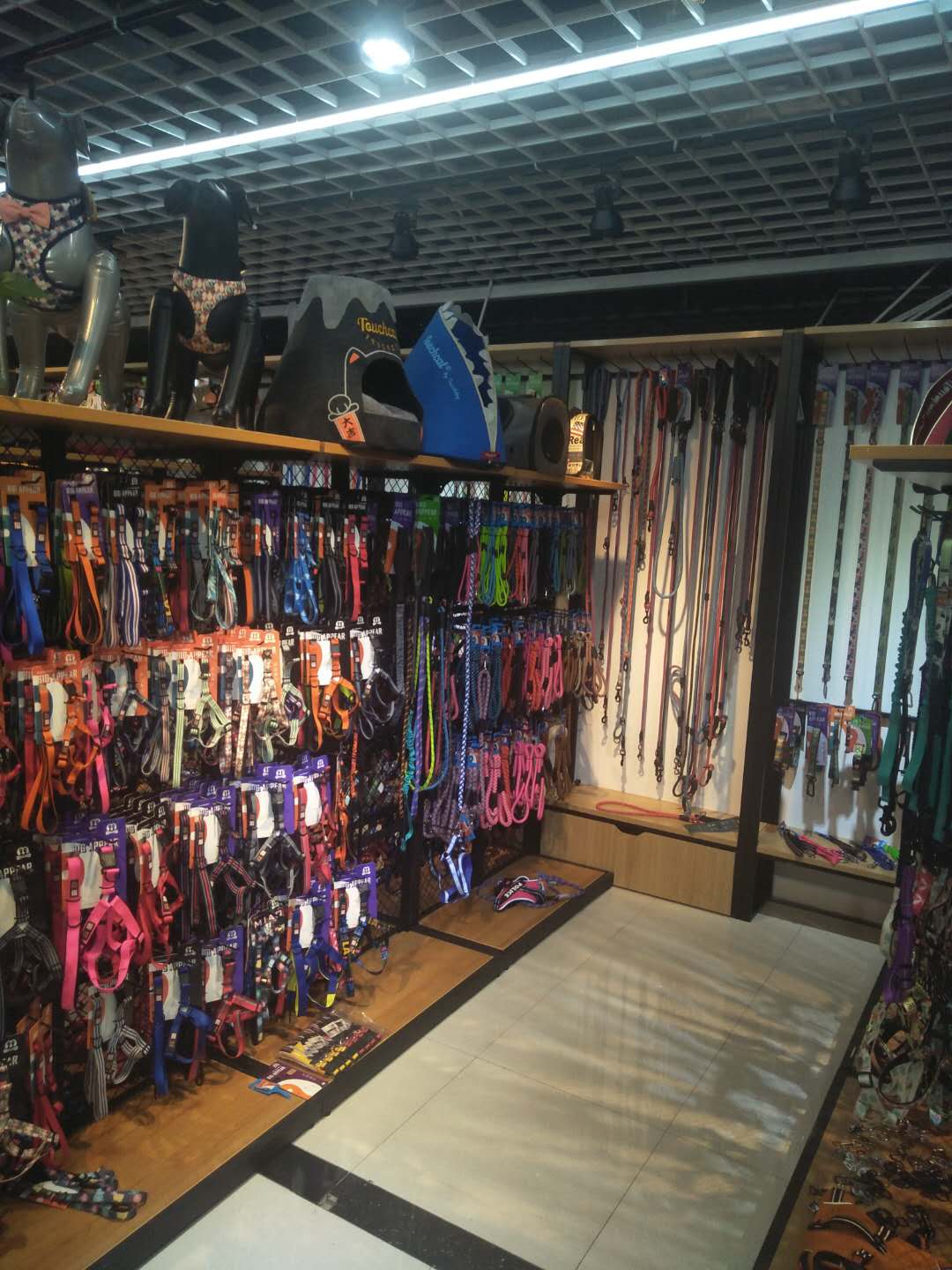 Madi Pet describe pic - 3