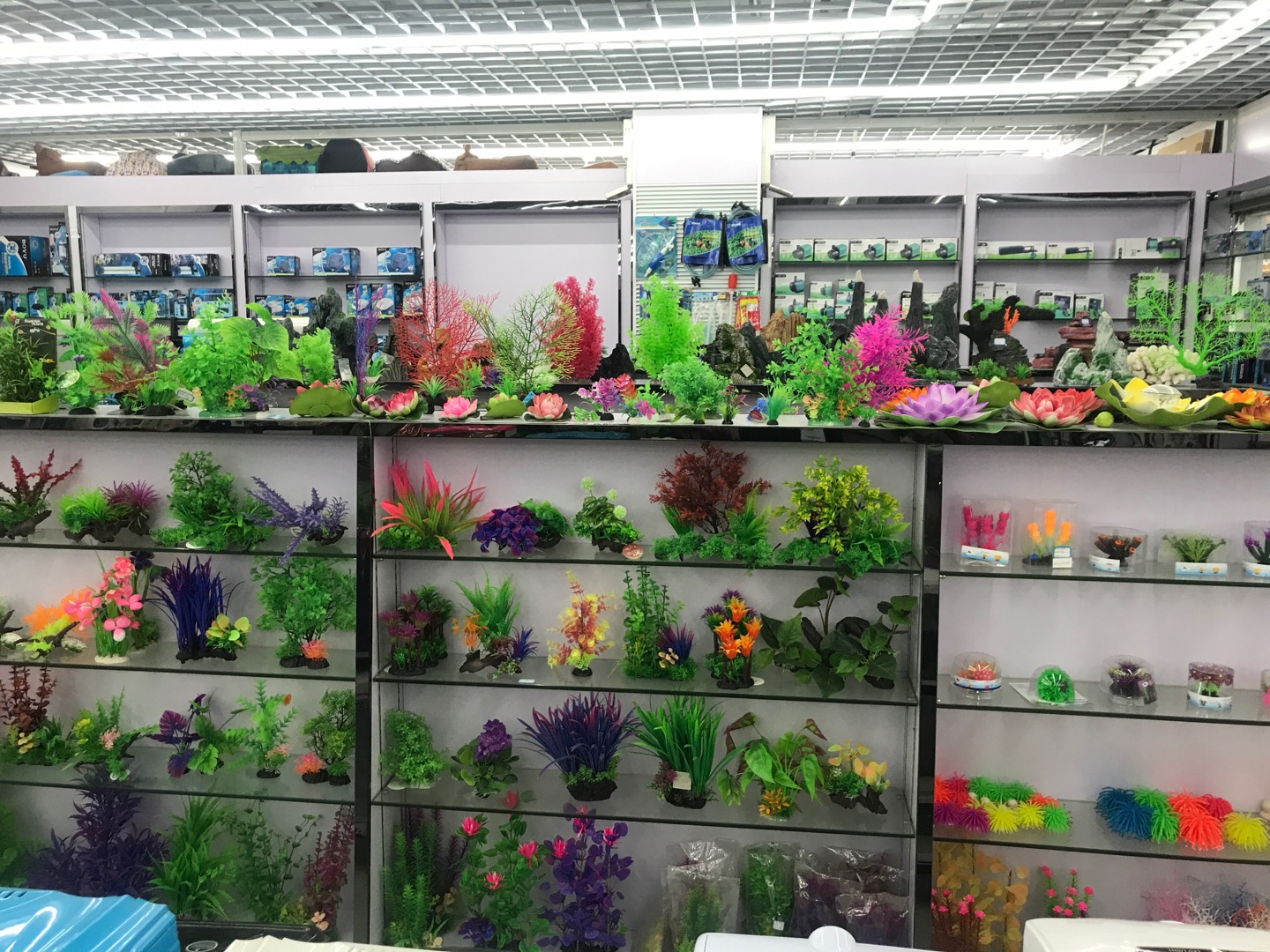 Baojie Aquarium Equipment Co., LTD describe pic - 1