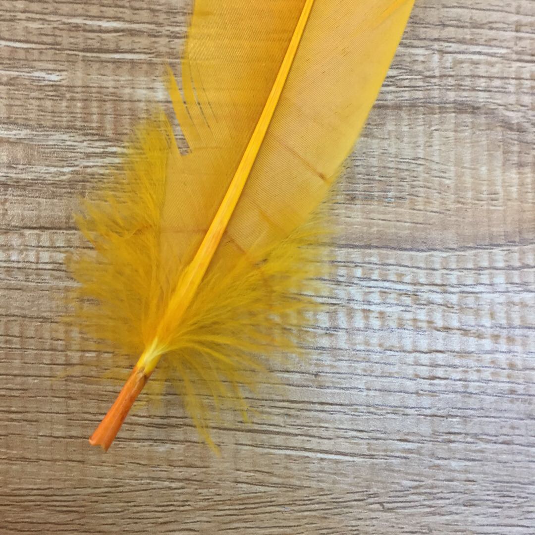 Kindergarten Colorful Feathers Diy Art Course Handmade Stickers Making Materials For Children Creative Decorative Ornaments Monochrome Feather Soft Body details Picture