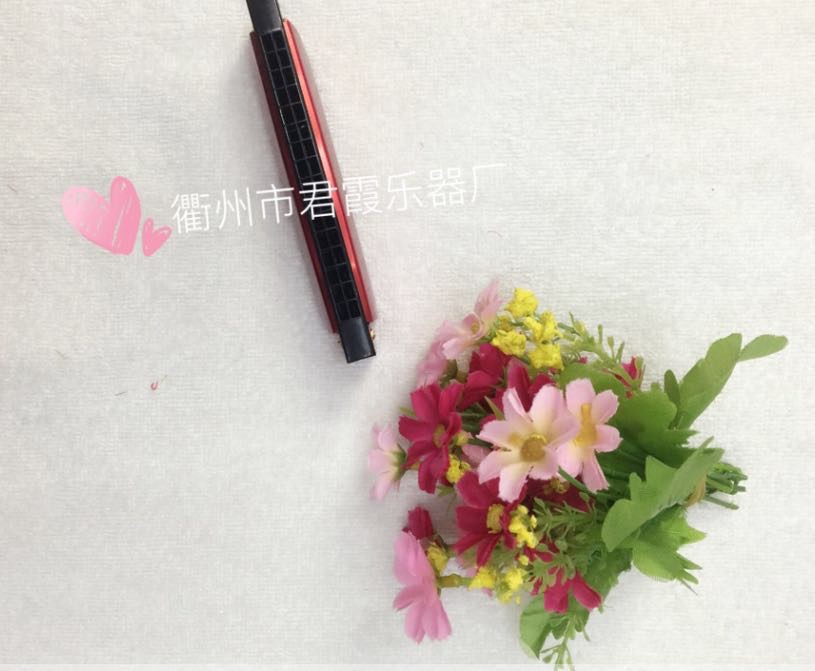 君霞乐器厂家批发16孔BEE儿童乐器玩具口琴教具细节图