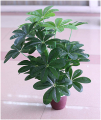 Self-Produced And Self-Marketing Simulation Plant Simulation Leaves Simulation Bamboo Bonsai True Bamboo Pole Bamboo Tip Wholesale