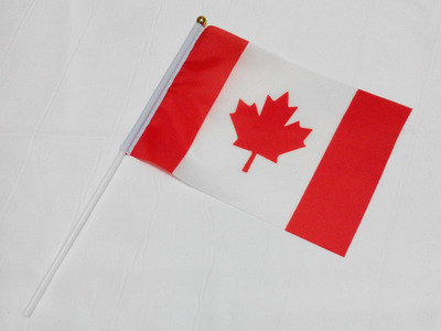 加拿大手挥旗小国旗定做旗帜小红旗世界各国手摇旗图