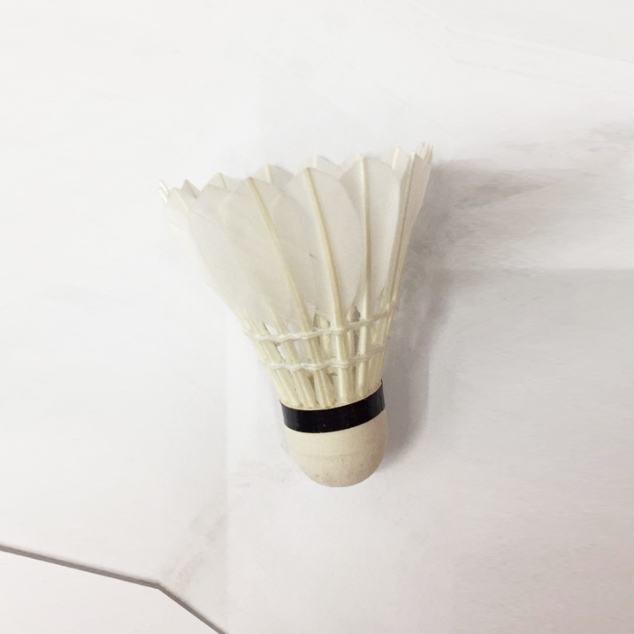 Genuine 6 Pieces Of Badminton Goose Feather Stable And Resistant To Play Royal Indoor And Outdoor Training Matches With The Ball Is Not Easy To Break Specification drawing