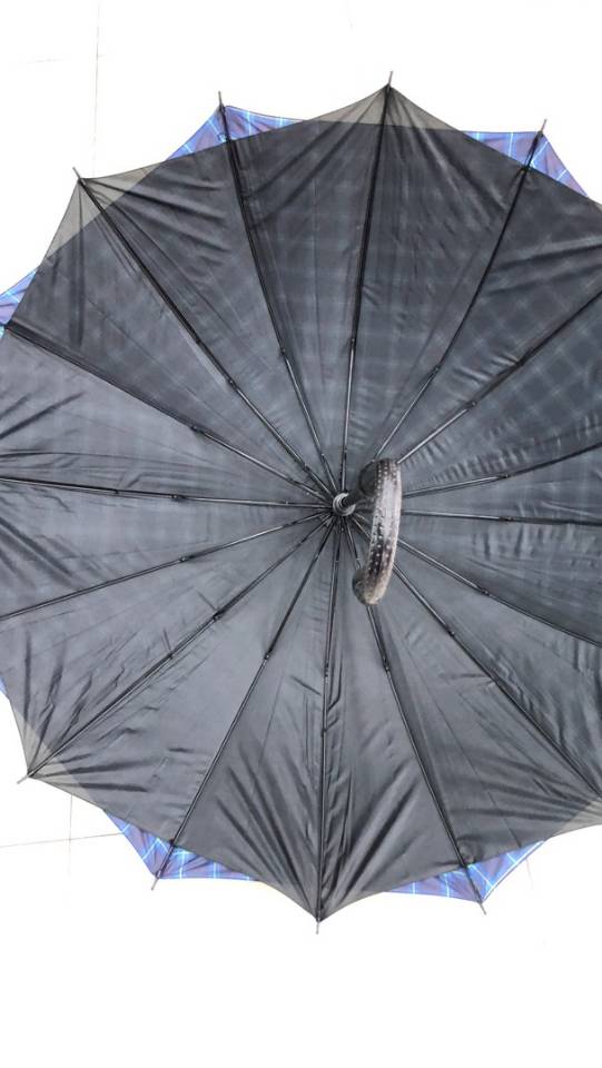 Double-layered grid automatic umbrella details Picture