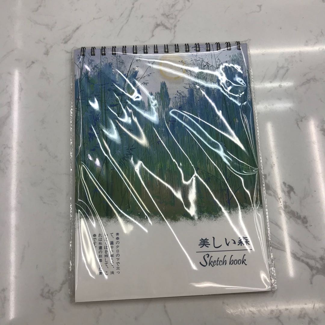 晨轩文具美术绘图办公笔记本文具加厚A5记事本韩国小清新简约大学生作业线圈本子套装