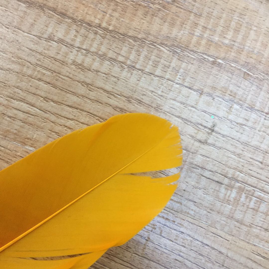 Kindergarten Colorful Feathers Diy Art Course Handmade Stickers Making Materials For Children Creative Decorative Ornaments Monochrome Feather Soft Body Specification drawing