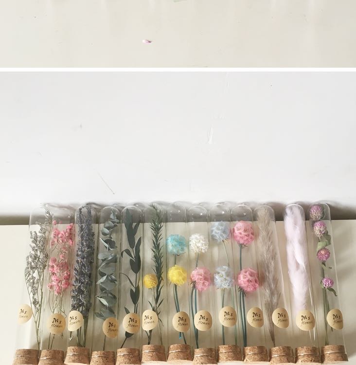 跨境干花花束 ins简约小清新家居装饰永生花许愿瓶生日伴手礼