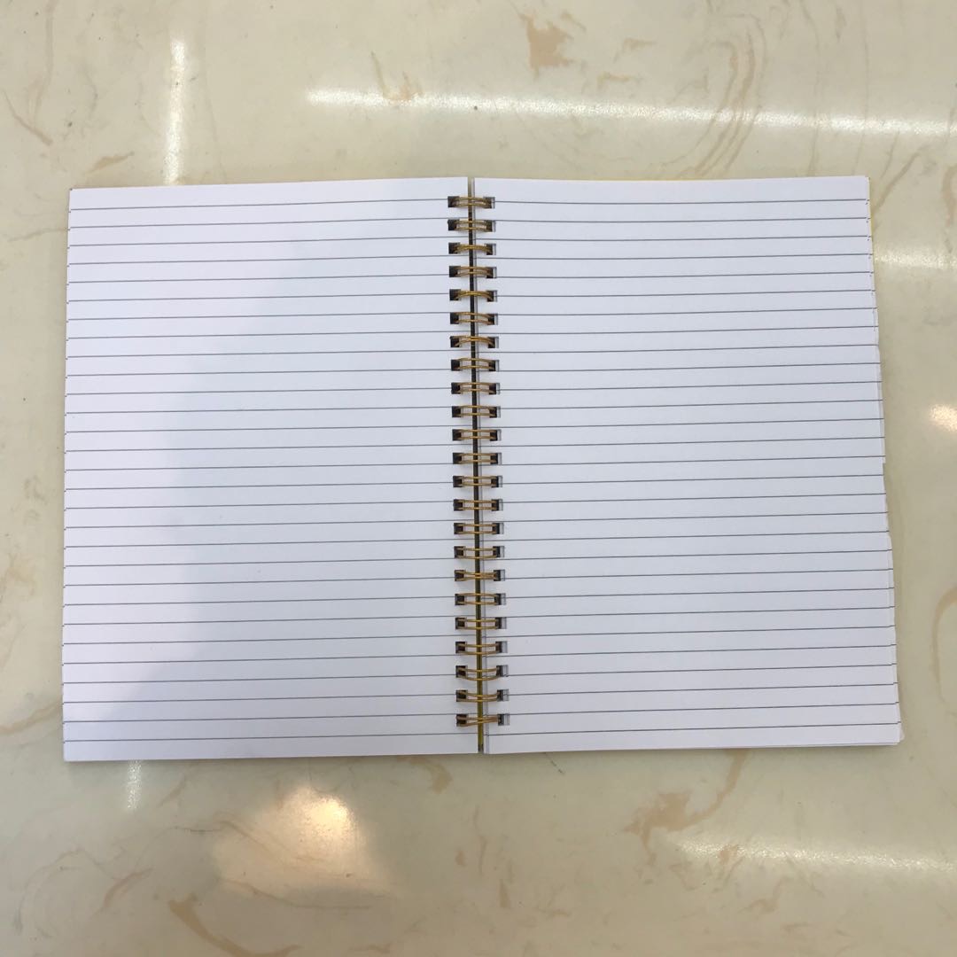 可爱网格本笔记本子少女心大学生线圈活页本方格简约ins风错题本大气产品图