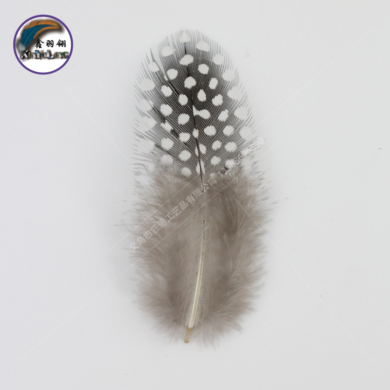 珍珠鸡毛diy彩色手工设计斑点羽毛玩具装饰品材料波波球羽毛