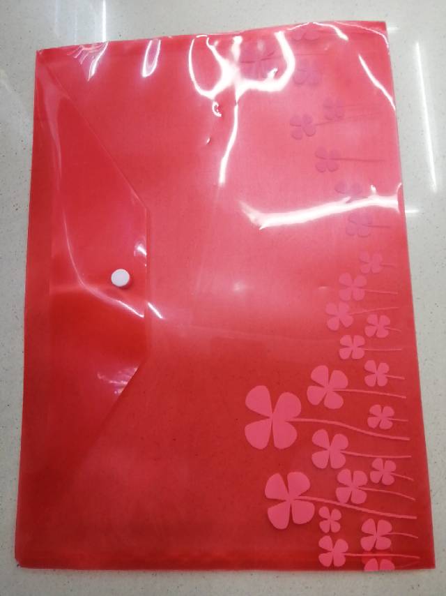 花式文件袋产品图