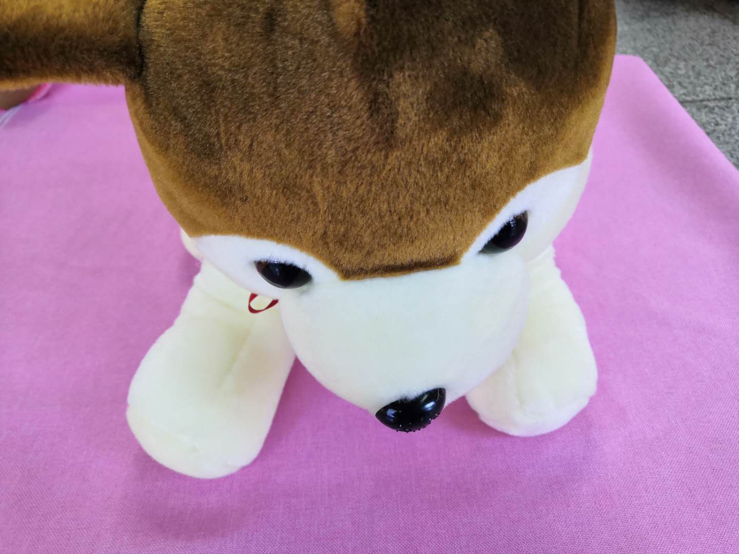 30 cm Husky puppy doll plush toy manufacturers wholesale thumbnail
