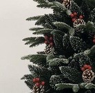 2020 New Christmas tree PVC PET PE Christmas tree manufacturers direct sale details Picture