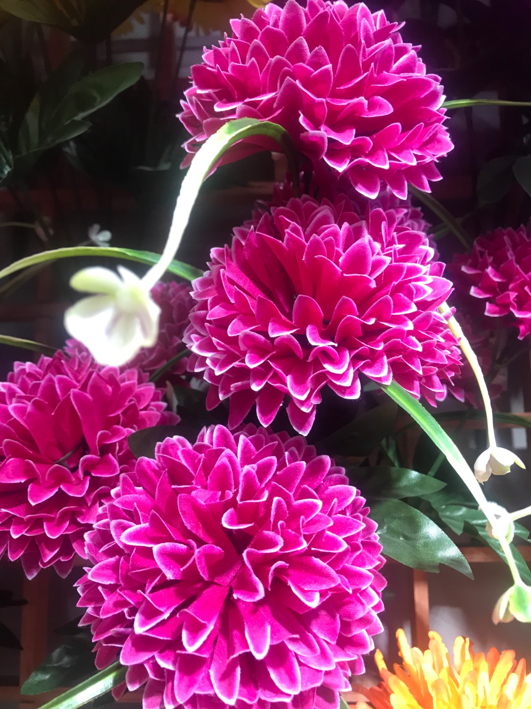 Jianying Flower Shop Non-woven Fabric 9-headed small pointed chrysanthemums Factory direct sales details Picture