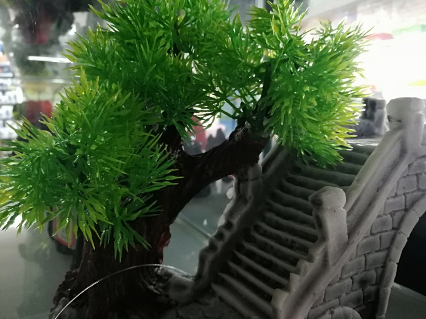 鱼缸假山/鱼缸假山产品图