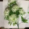 仿真花假花餐桌卧室客厅装饰品白色花摆设花酒柜创意摆件工艺品塑料花图