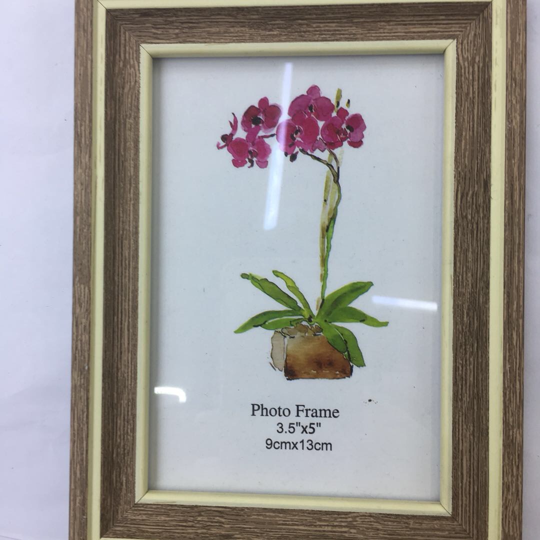 北欧相框摆台照片现代简约绿植装饰挂墙8160-3图