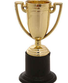 辉煌奖杯高档奖杯小号塑料杯定制定做奖杯可定制logo产品图