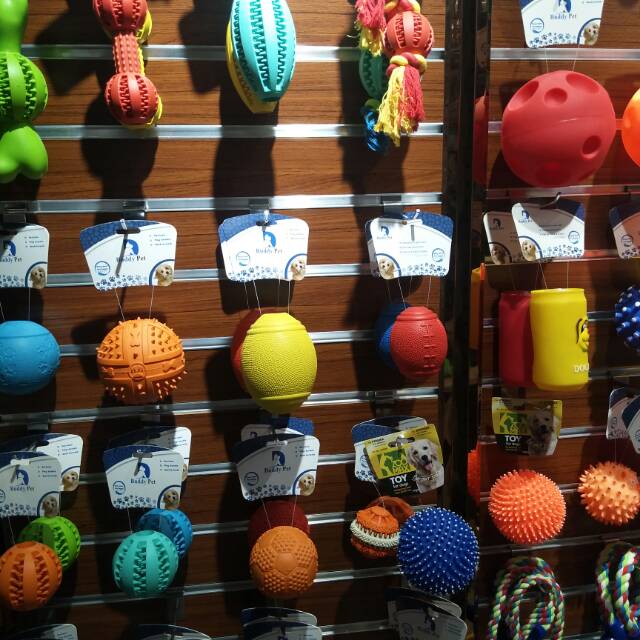 Barty Pet describe pic - 1