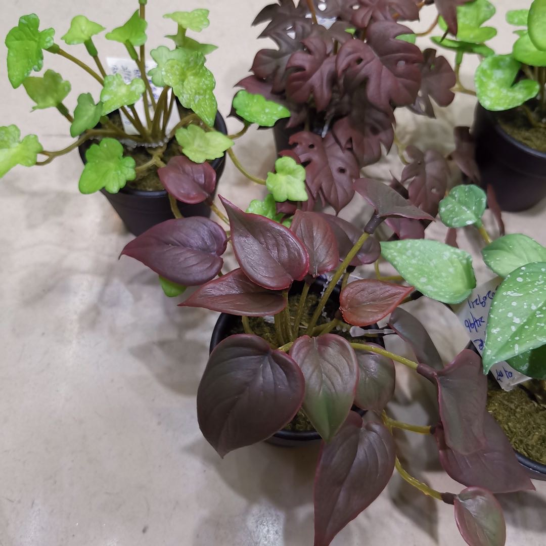 仿真植物带叶塑料盆栽婚庆可混批96pc细节图