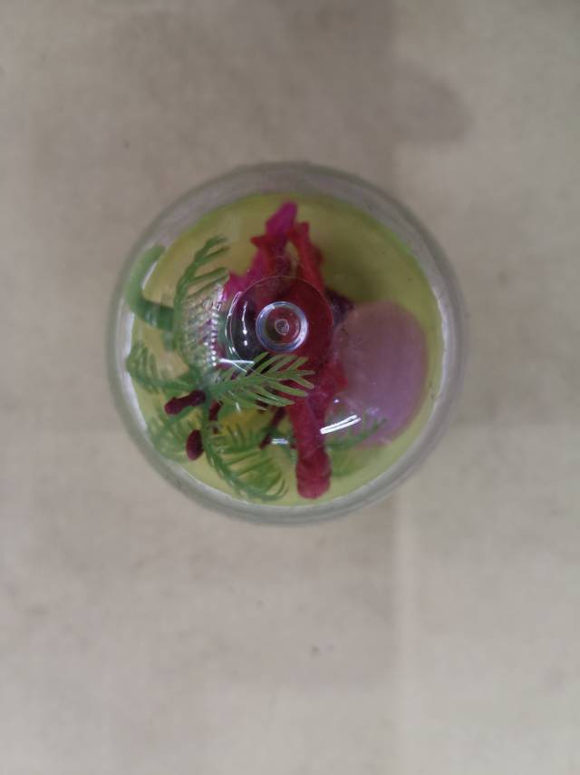 静态各种小恐龙模型带植物仿真小玩具颜色造型款式多样产品图