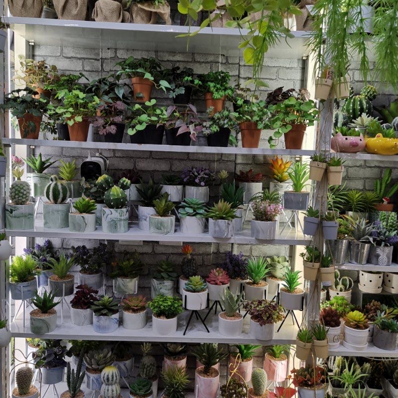 Xinxin Craft Flower Shop describe pic - 2