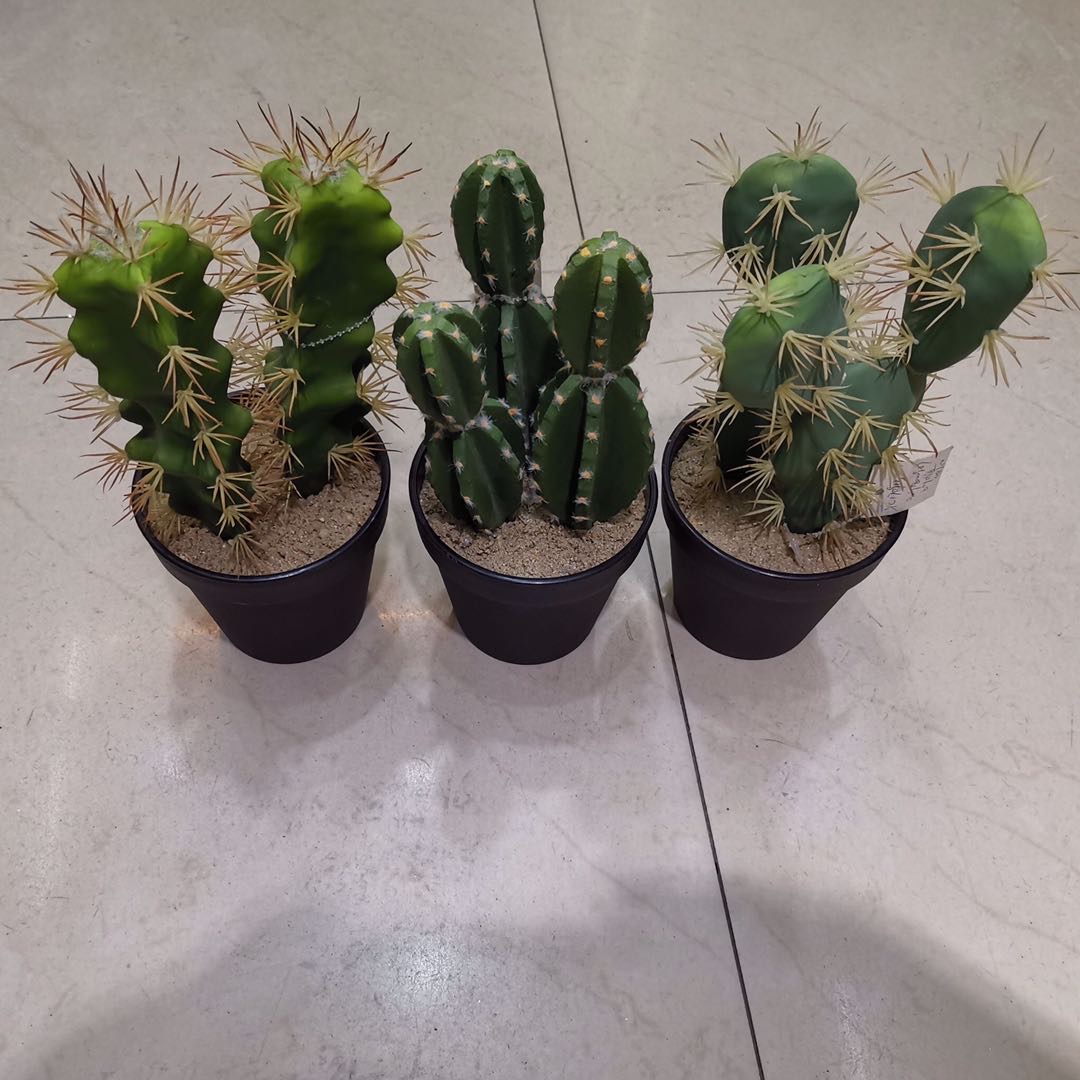 Plastic cactus simulation potted plant, a fresh and simple rural decorative item