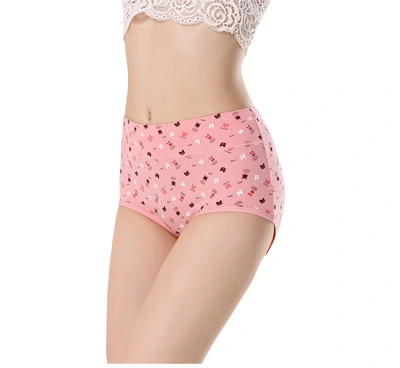95 Cotton Underwear Women's Mid-Waist Cotton Crotch Cute Printed Girl Underwear Cotton Women's Briefs