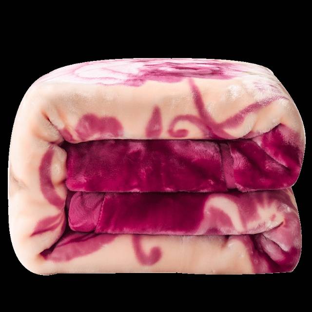 毛毯被子加厚冬季珊瑚绒学生宿舍单人法兰绒双层保暖盖毯子