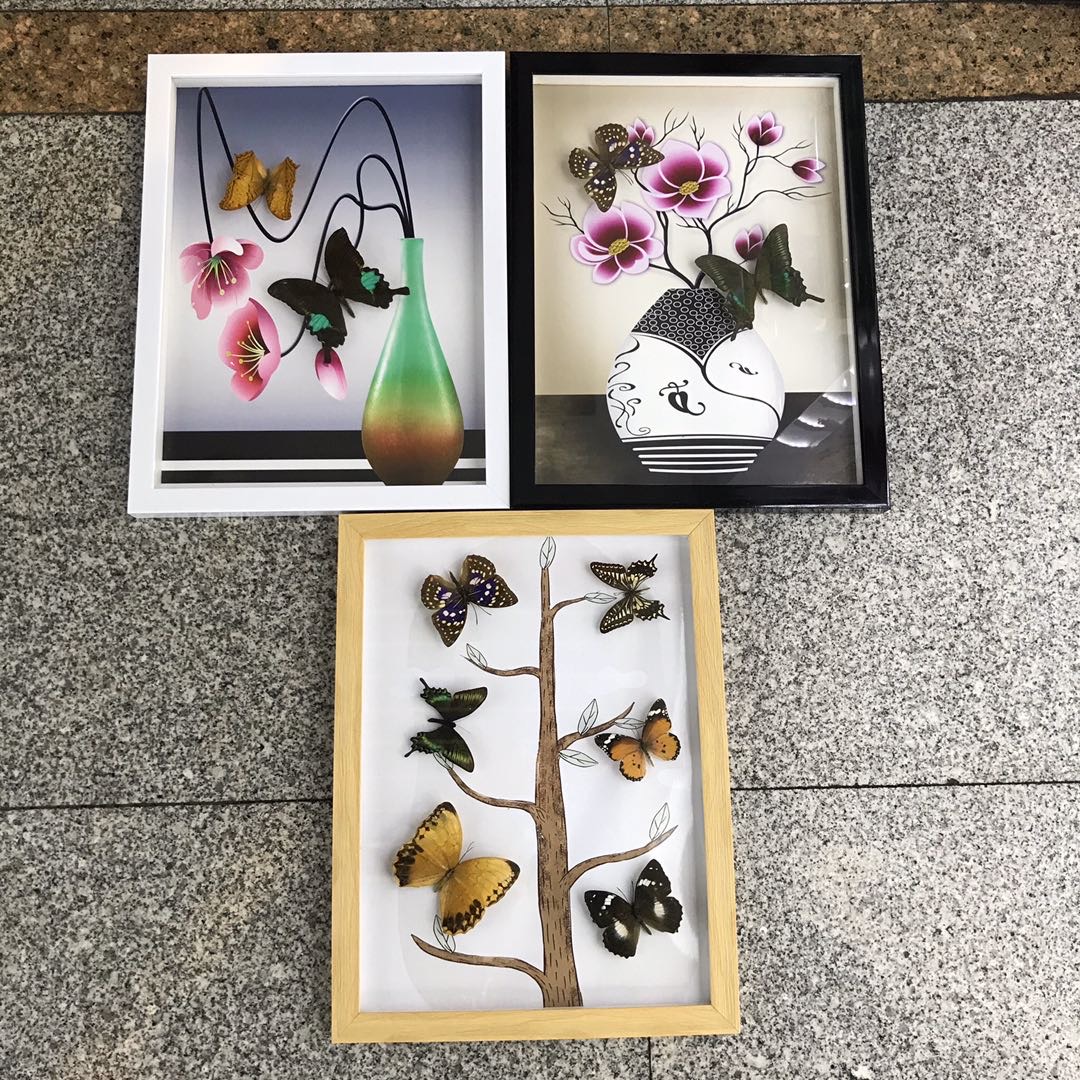 天然真蝴蝶标本相框 工艺品摆件收藏品动物标本送礼佳品画框包邮