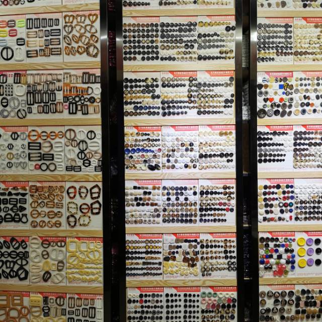 Zhu Meilan describe pic - 2