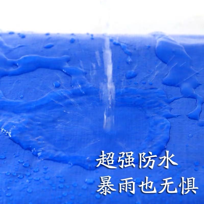 PP PE篷布 雨布 防水布 蓬布细节图