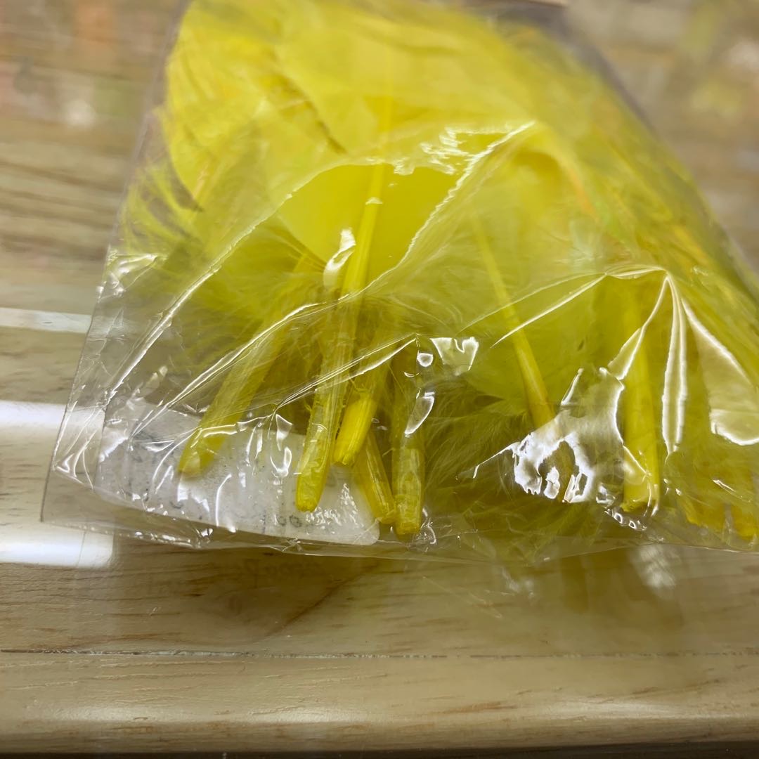 鸟类羽毛/染色羽毛细节图