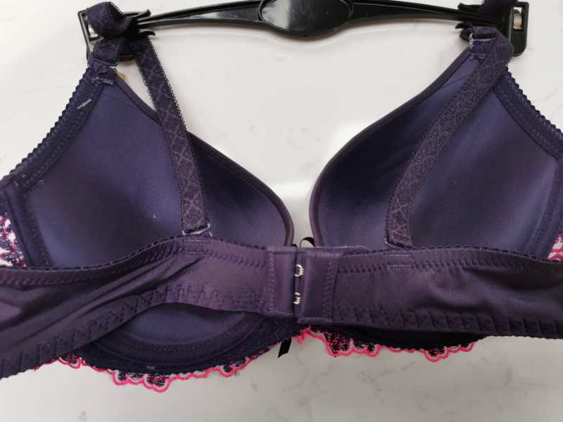 Bra internal structure display