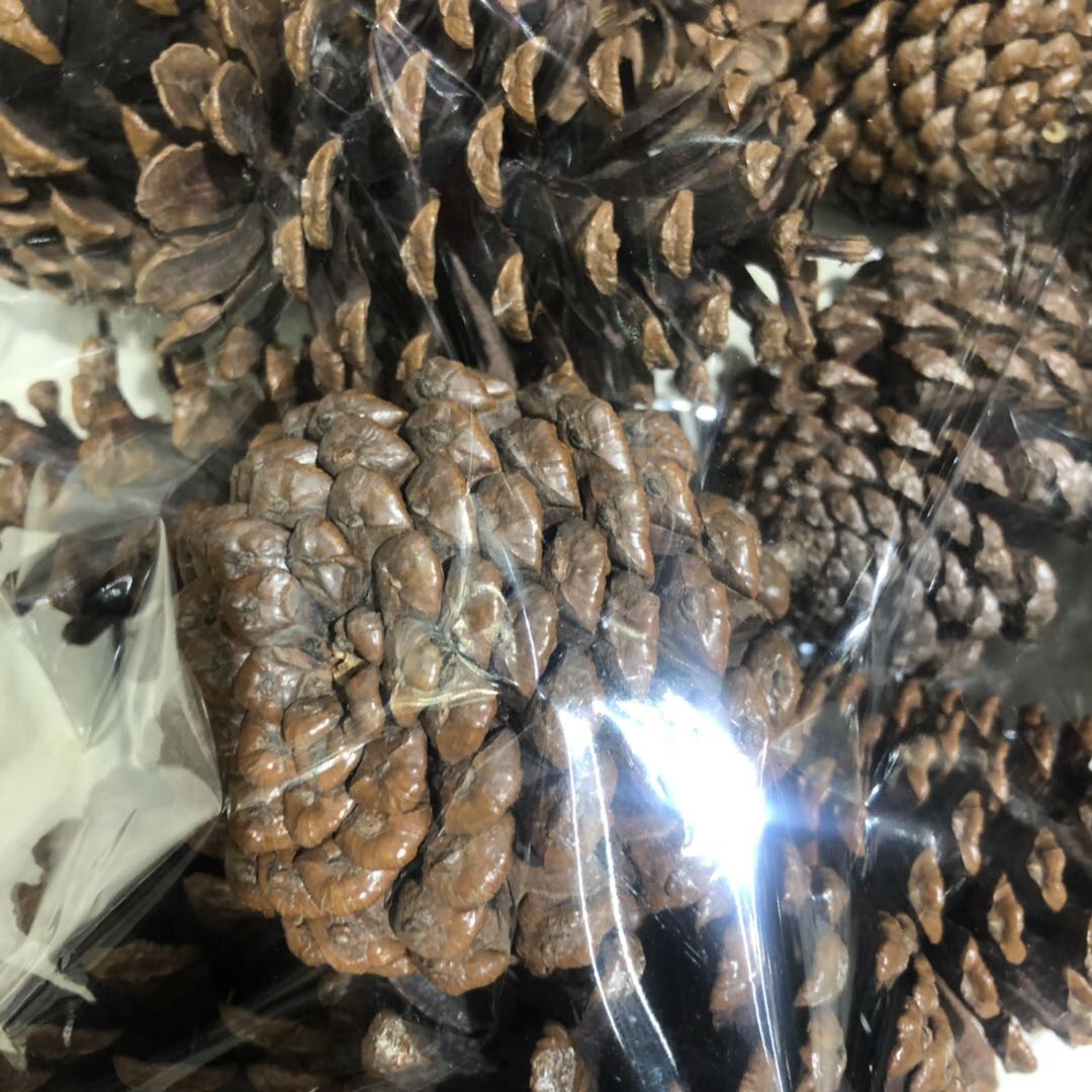 供应松球本地松鱼鳞松果多款干花包装饰材料树皮木丝填充蛤蟆藤产品图