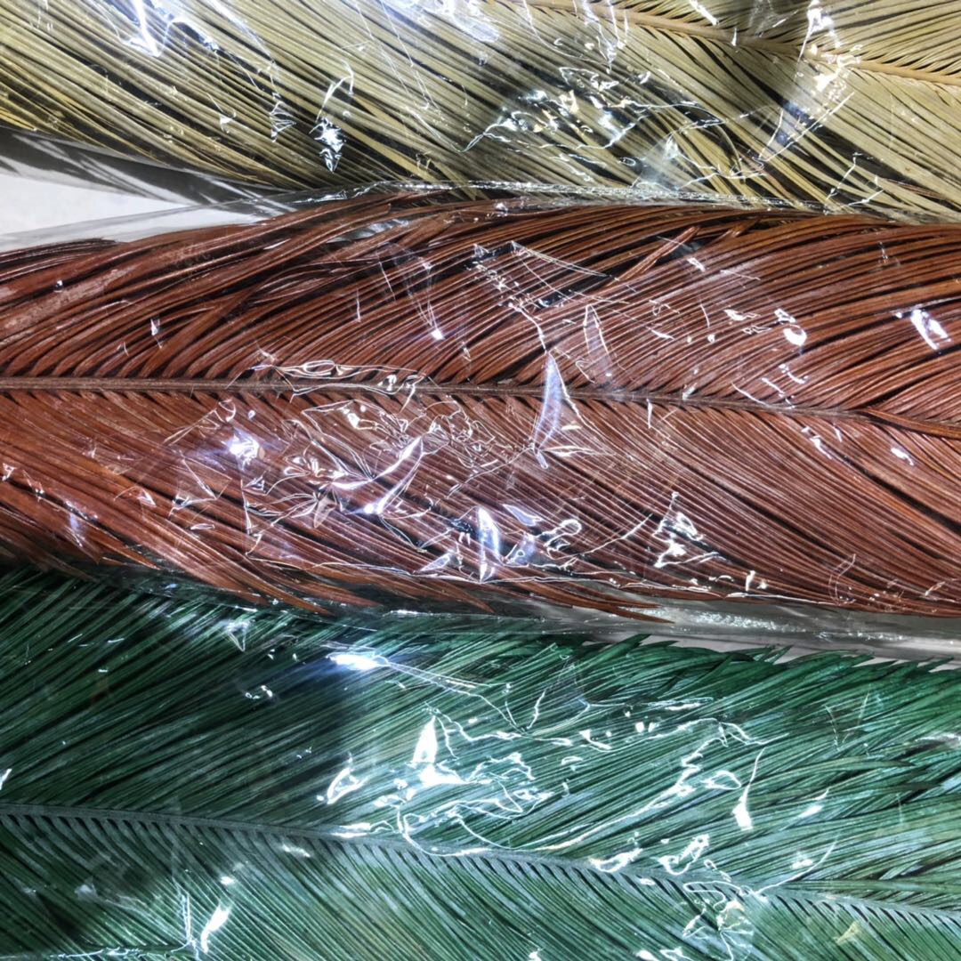 New varieties of cycad leaves are now picked, including loose tail leaves, multi-year cycad leaves, wedding decoration, eternal dried flowers, and large leaves for flower arrangement Specification image