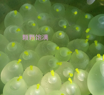 3 beam water balloon fast water balloon water balloon fluorescent 3 balloon