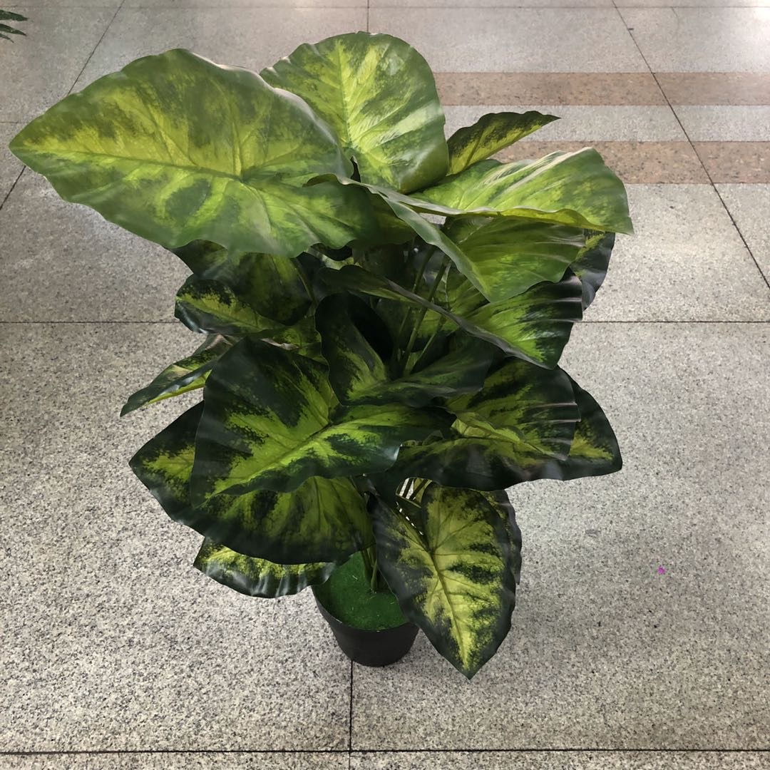 Factory direct sales of artificial green plants such as agave, potted sisal, gladiolus, tiger tail lanula, crown lanula, tropical decorative plants
