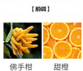 淡香甜美花香调女式喷雾香水邂逅香氛清新自然香水.细节图